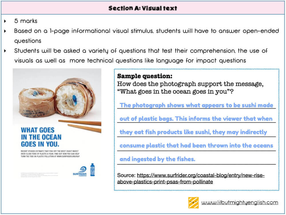 Secondary English Comprehension Visual Text | Lil' but Mighty