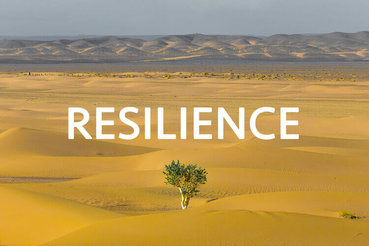 Resilience. Vocabulary
