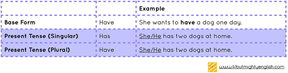 Lower Primary | Using “Has/Have/Had” Correctly! Grammar.