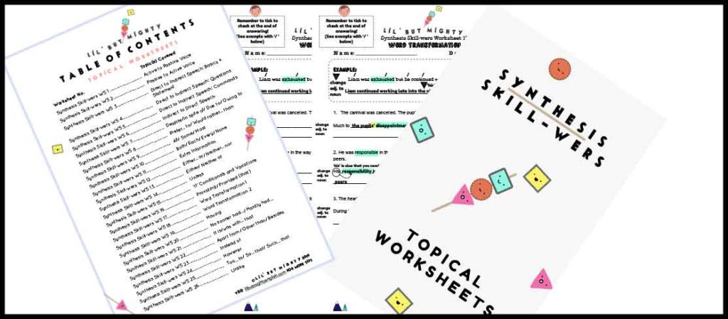 Synthesis Skill-wers Sample Worksheets | Lil' but Mighty