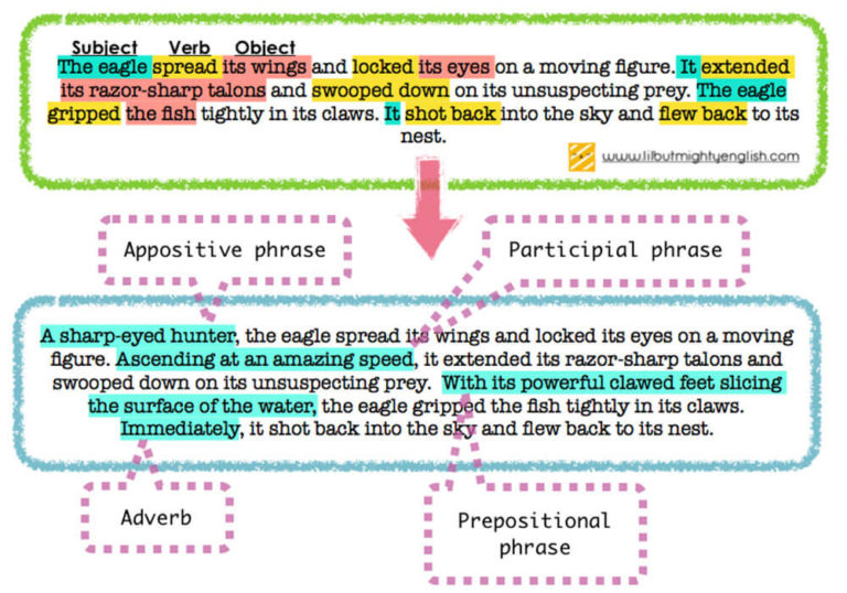 Sentence Starters with Introductory Clauses | PSLE Composition