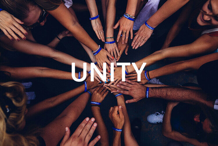 Unity, Resilience, Solidarity, Fortitude - What Do They Mean? - Lil ...
