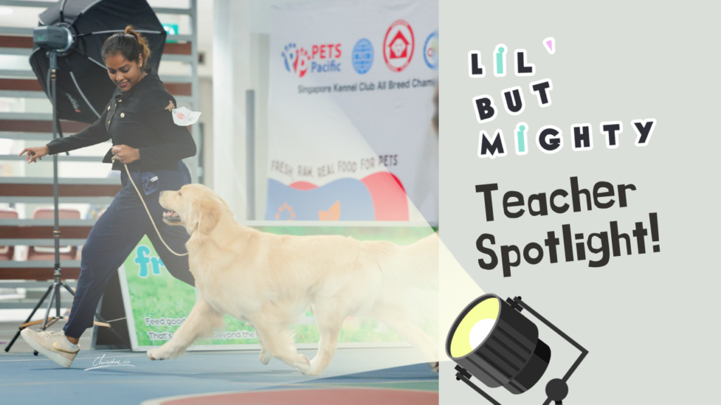Nandy's Spotlight